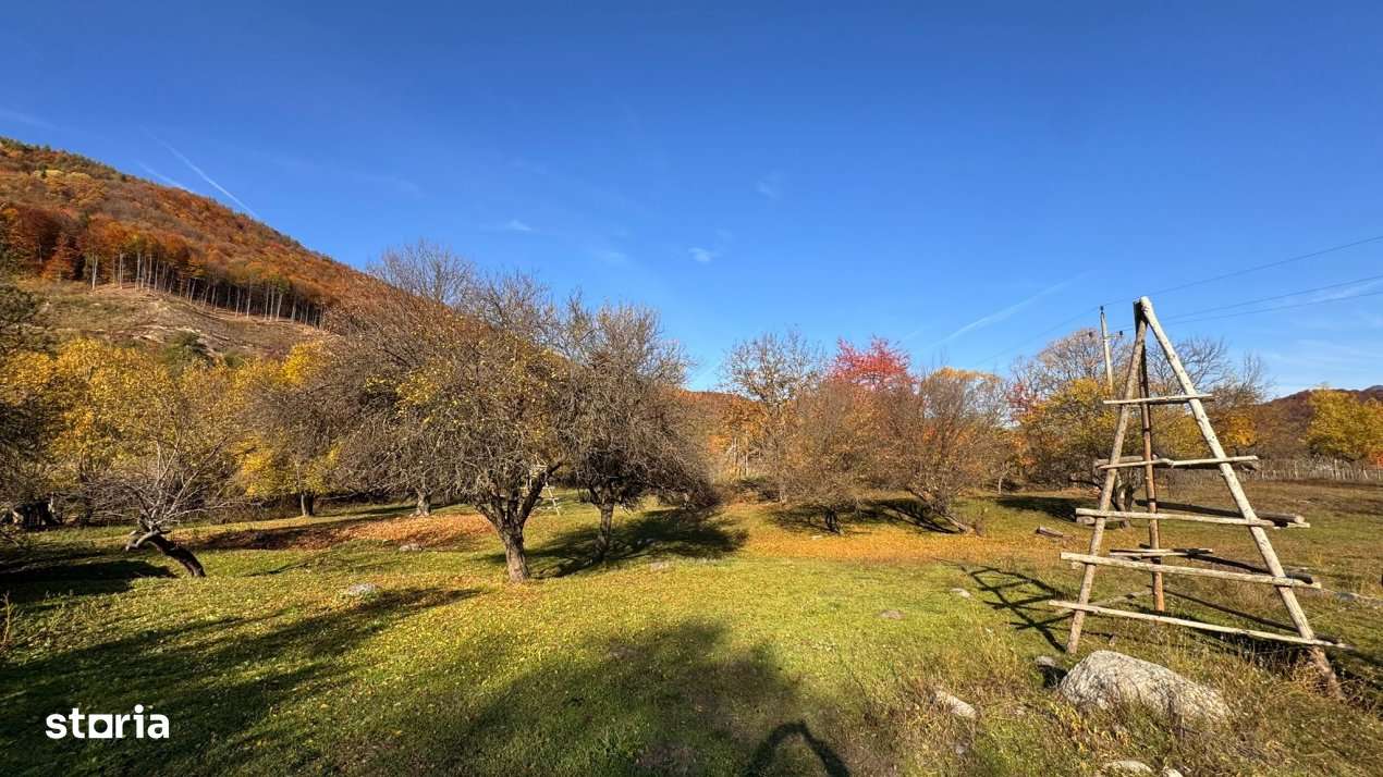 Teren Salatrucu - 7500 mp - Imagine principală: 2/8