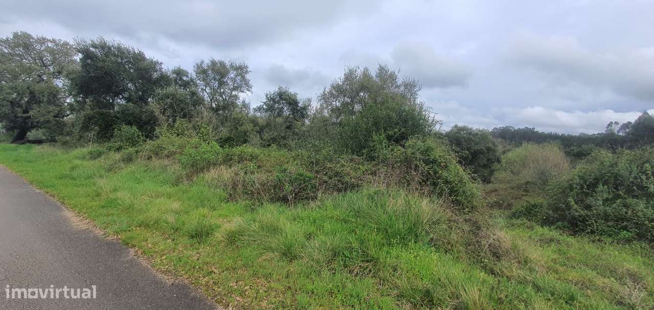 Terreno rústico com 2520 m2, construção rural e poço - Grande imagem: 5/15