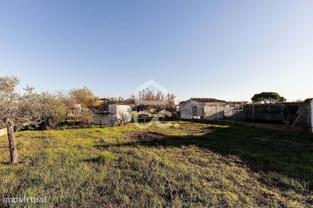 Terreno de  1.350 m² c/ Anexo de Apoio Agrícola | Canaviais, Évora-23