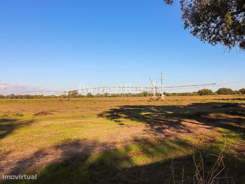 Herdade de 60 hectares para criação bovina e equina perto de Lisboa-47