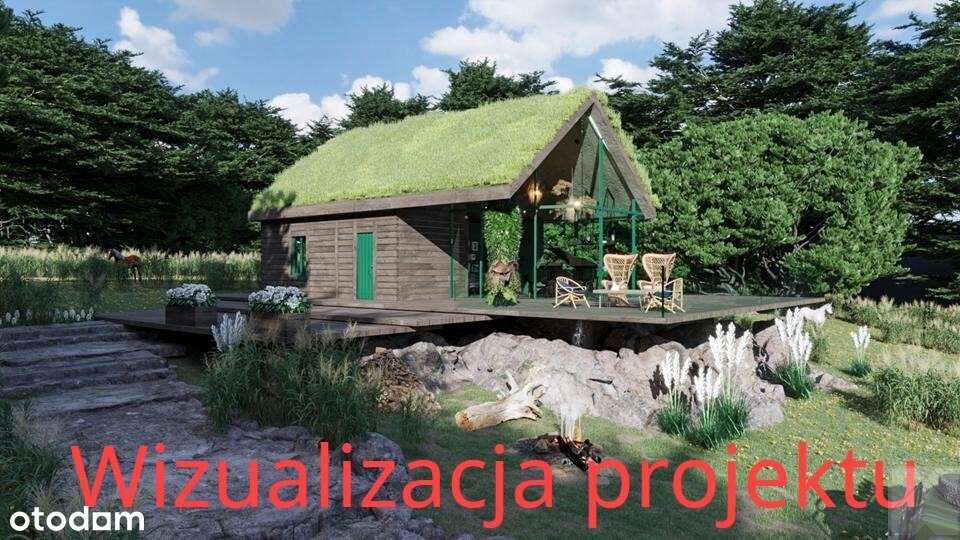 Siedlisko z drewnianym domem w malowniczym miejscu