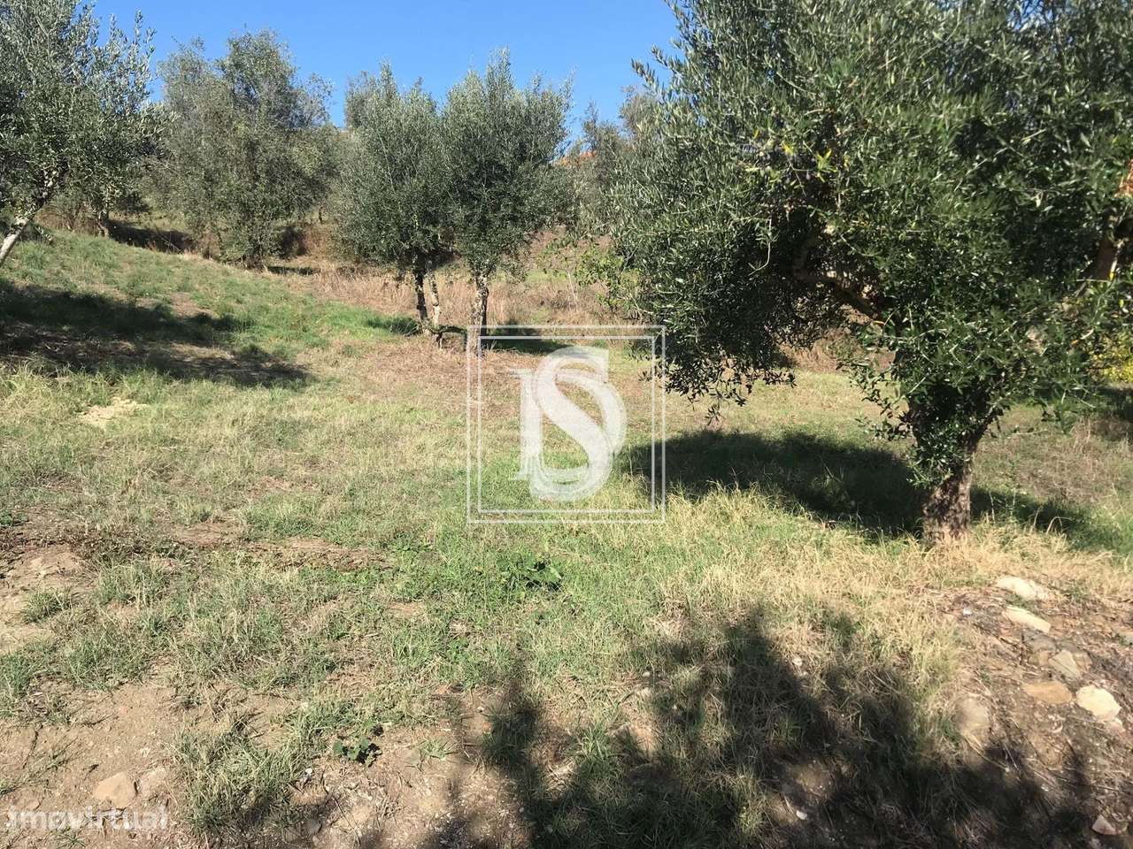 Terreno Com Projecto Aprovado - Sardoal (Azinhaga da Dabada) - Grande imagem: 2/9