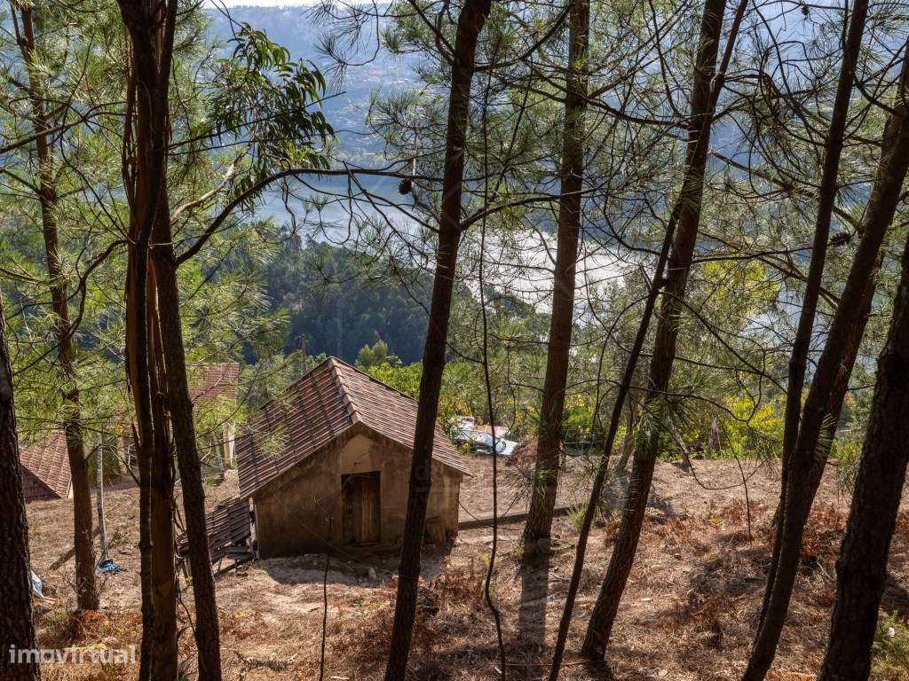 Propriedade com Vista Panorâmica para o Douro Moradia e Terreno com...-37