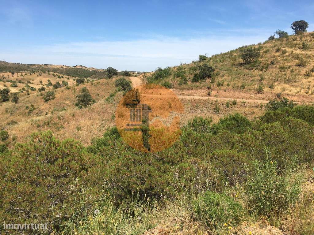 Terreno Rustico em Pisa Barro de Cima - Grande imagem: 3/27