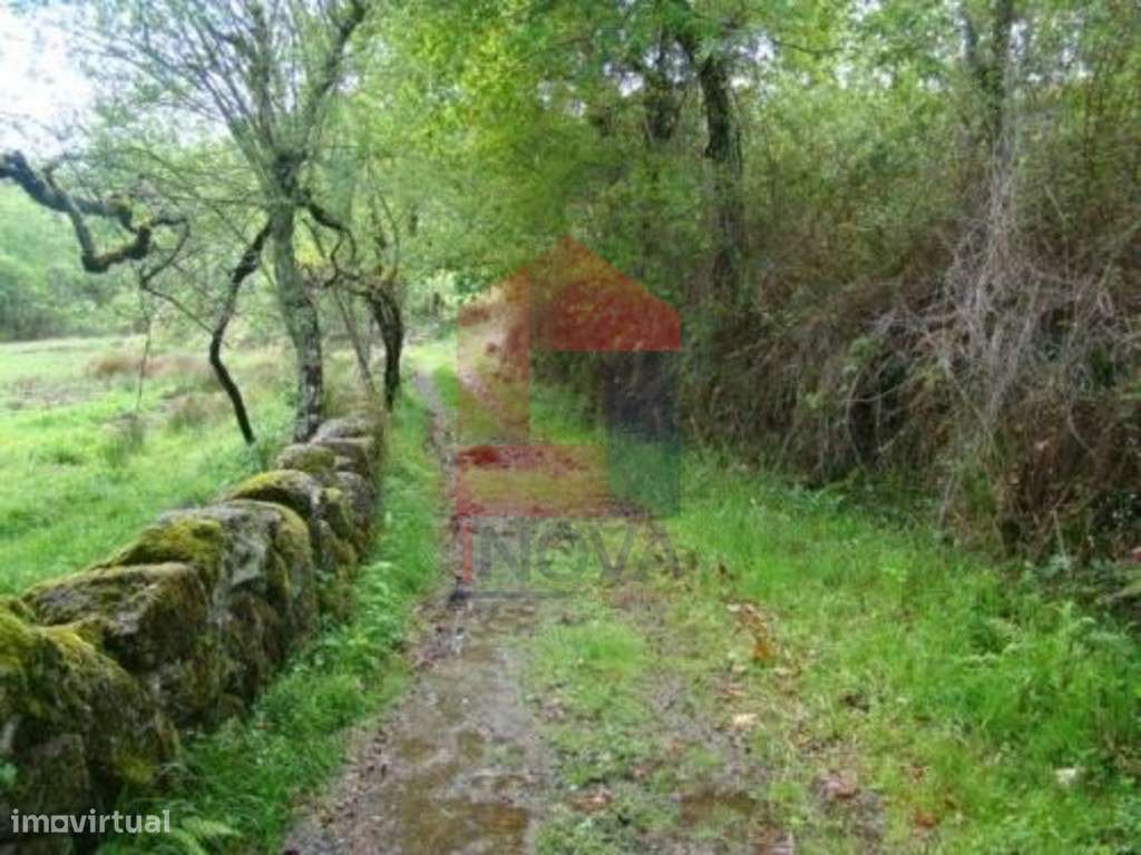 Terreno agrícola, Valdreu - Grande imagem: 4/8