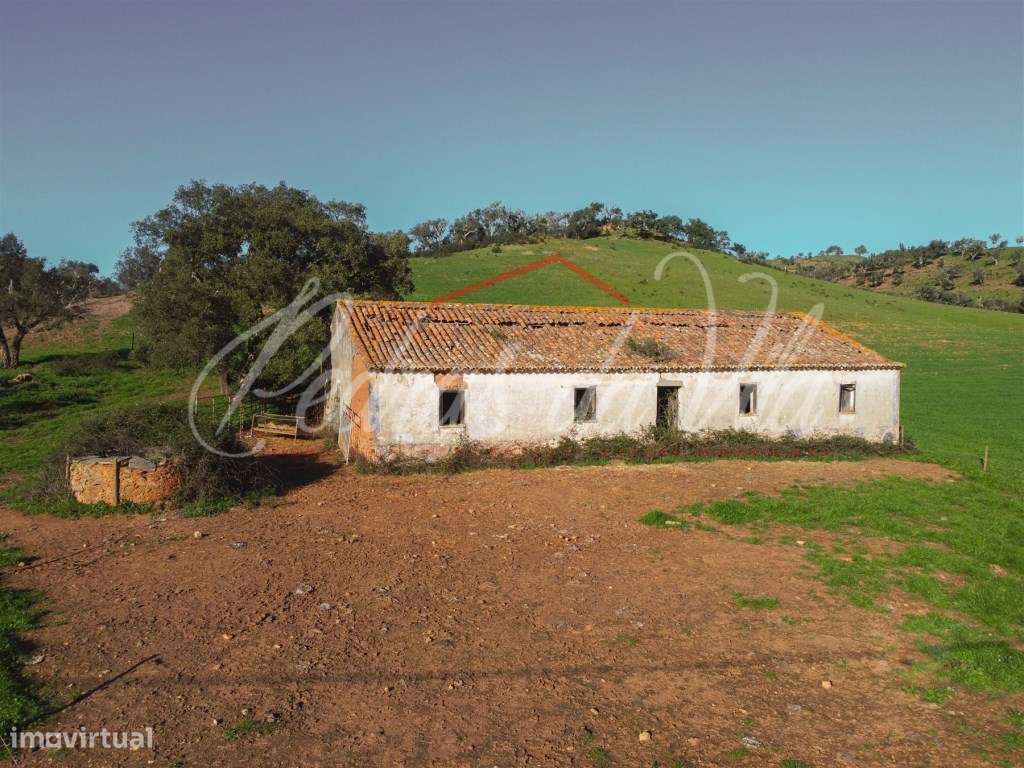 Monte Alentejano de 36ha com 3 ruinas - Pego das Pias - Odemira-13