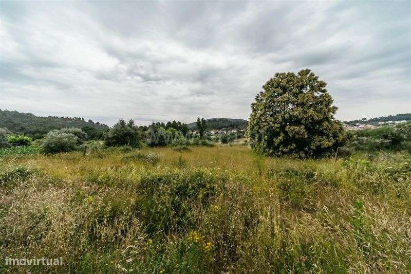 Quintinha T3 / Fundão, Castelejo - Grande imagem: 2/16