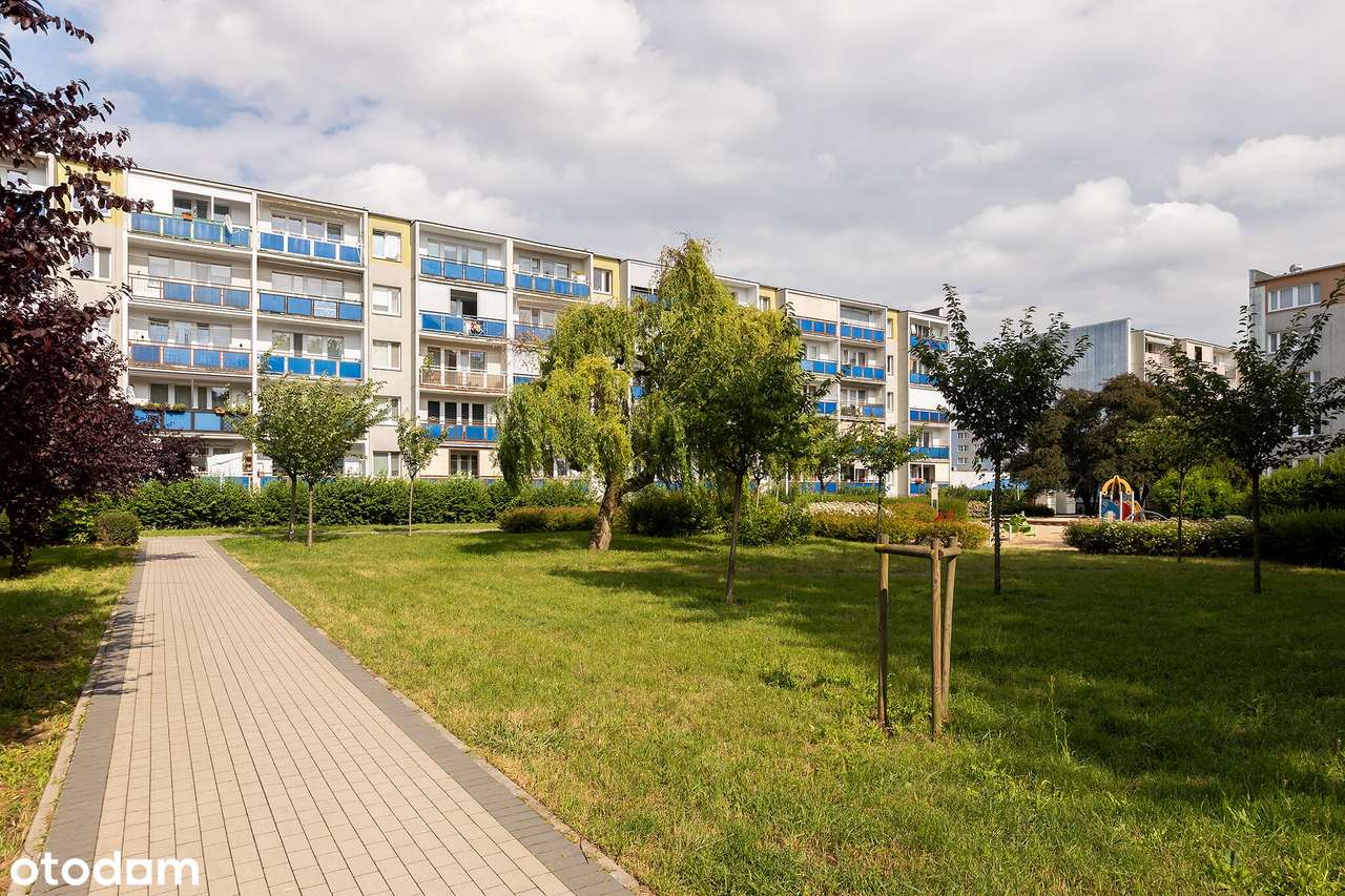 Ustawne dwa pokoje | balkon | łazienka po remoncie | piwnica-11