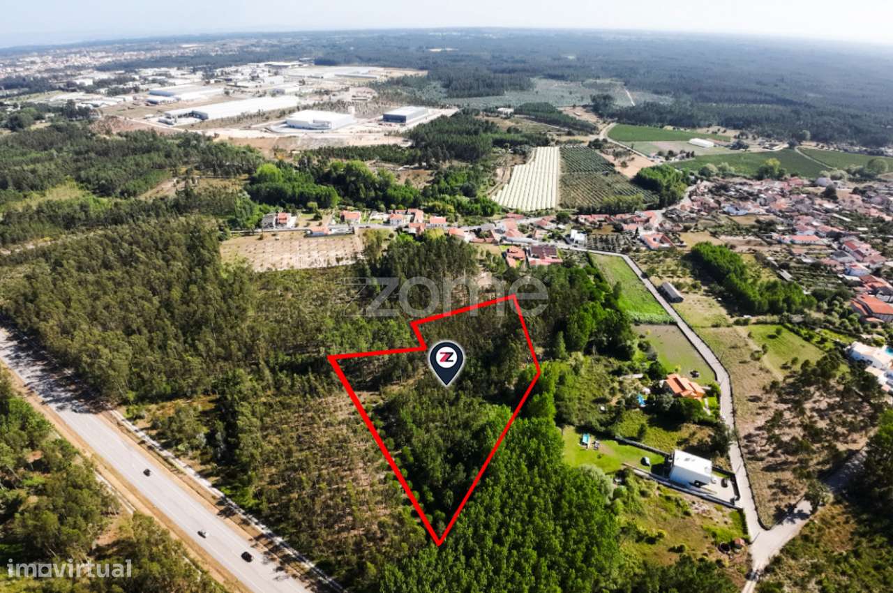 Terreno | 4.160m2 | Cantanhede | Oportunidade | - Grande imagem: 5/9