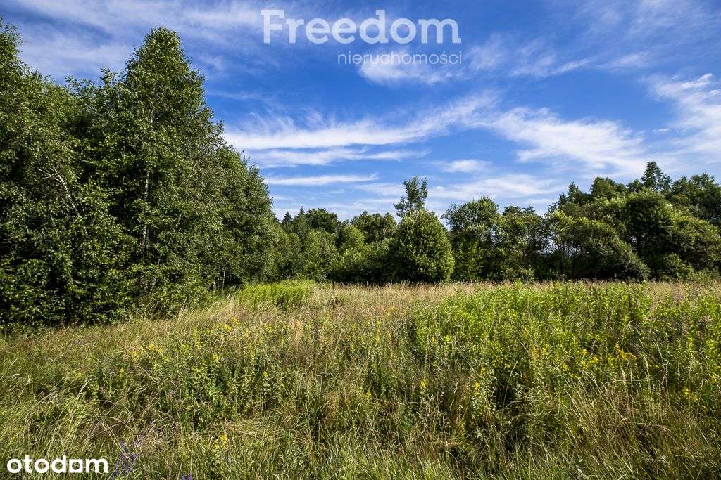 Działka budowlana 58 ar w urokliwym zakątku Lubeni - Pełny obrazek: 2/14
