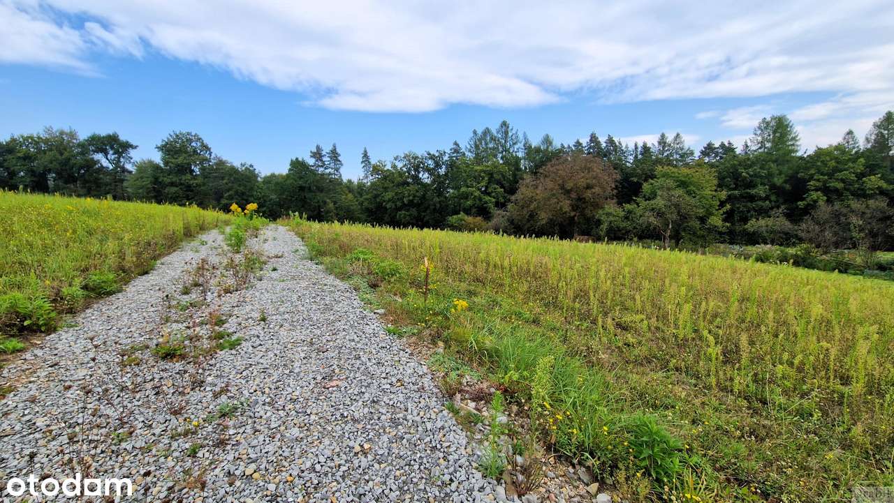Działka rolno- budowlana 8km od Lanckorony - Pełny obrazek: 5/5