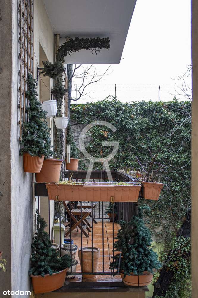 ✨Balkon✨Piwnica✨Deska ✨Sztukateria✨Centrum✨Ołbin✨-13