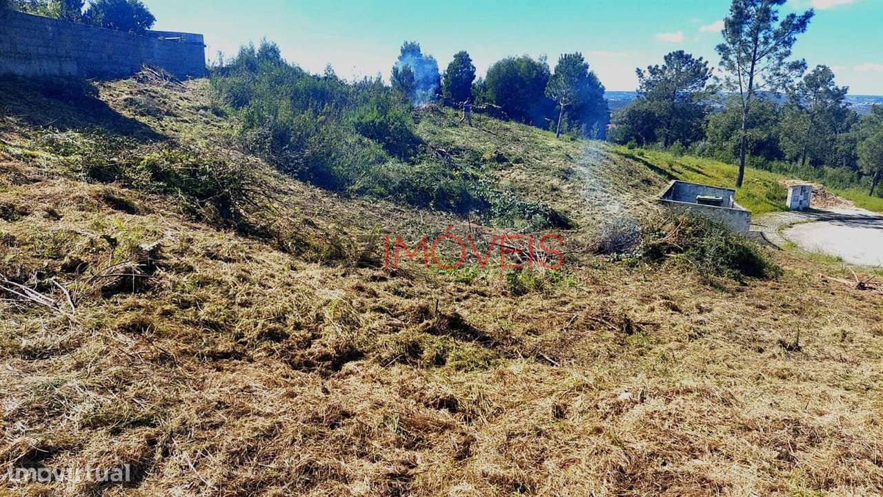 Lote Urbano com 971 m2, Abrantes-7