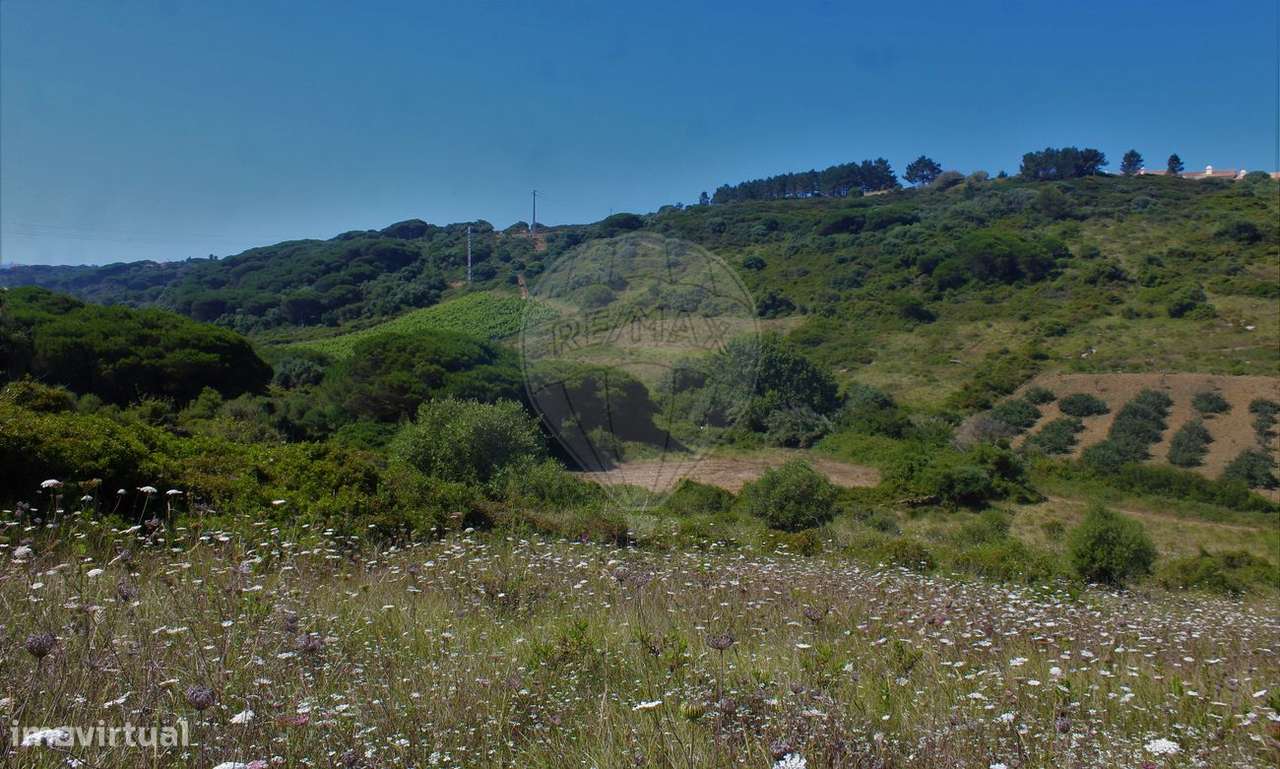 Terreno  para venda - Grande imagem: 5/22