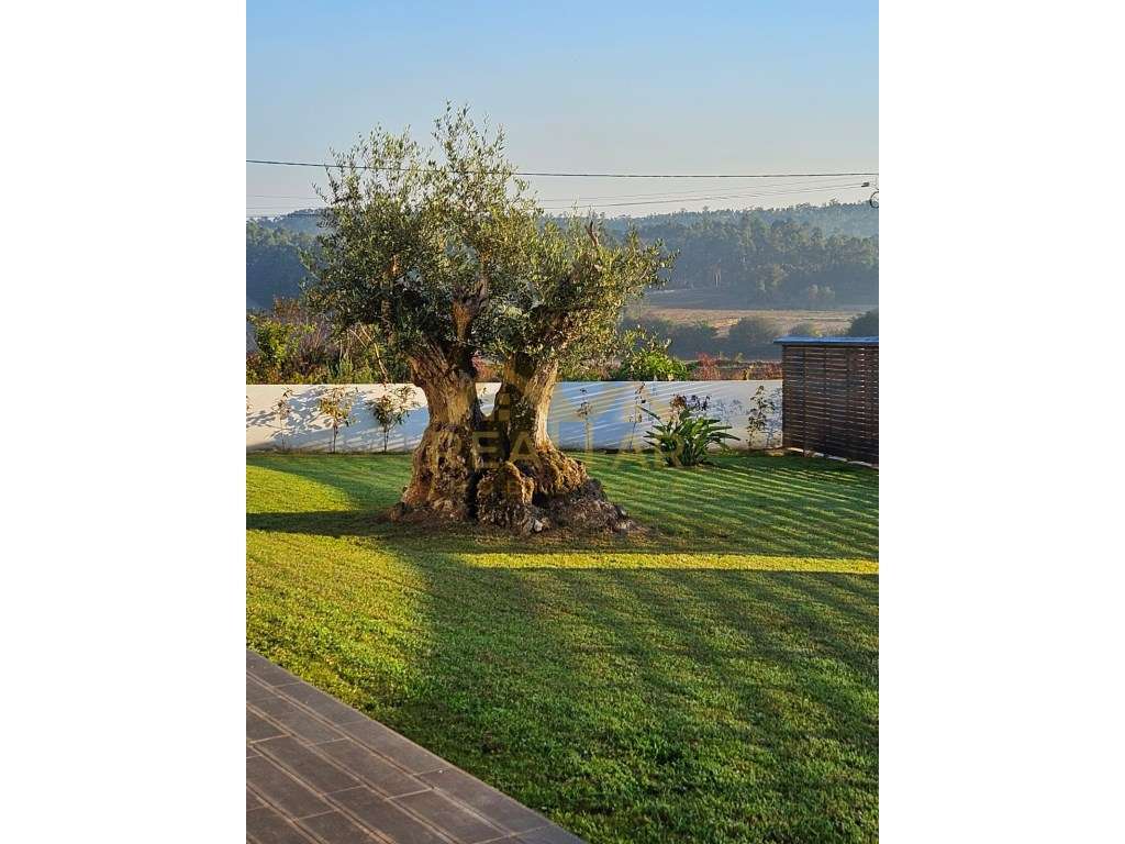 Quinta de eventos em Rio Mau - Vila do Conde - Grande imagem: 5/41