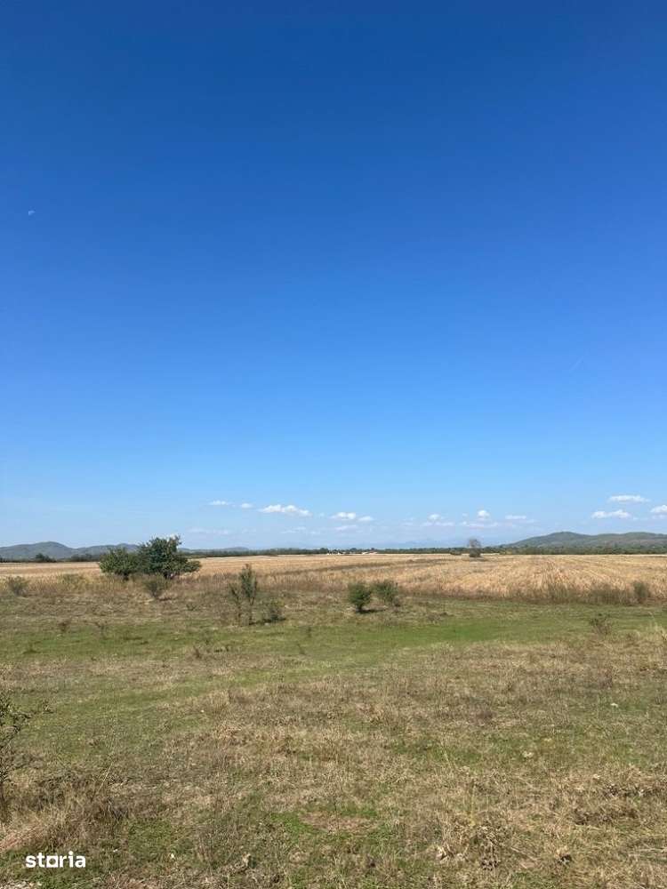 Urleta - teren 3600mp - 5 Euro/mp Neg. - Imagine principală: 4/5