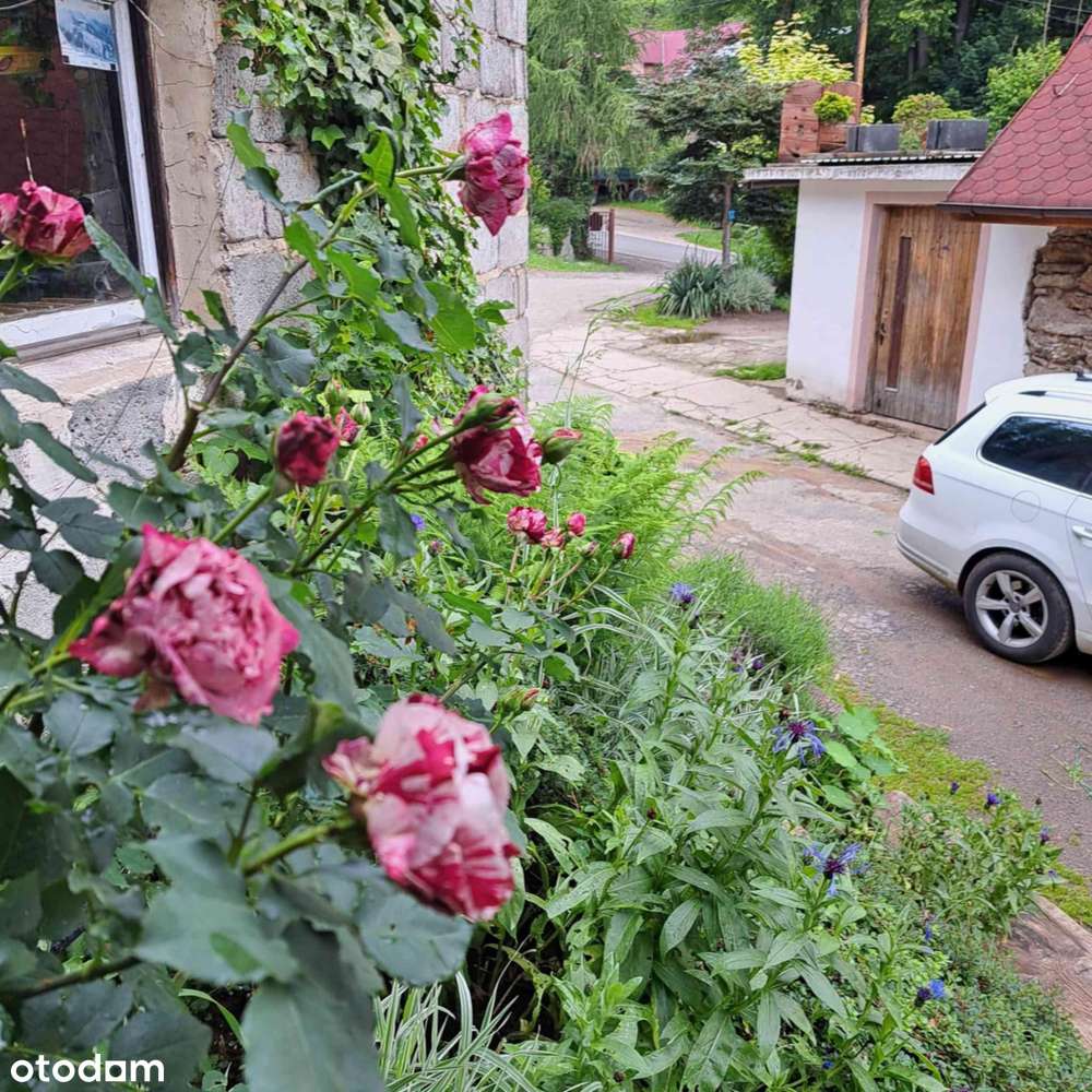 Nieruchomość rolna na sprzedaż w sercu Gór Sowich! - Pełny obrazek: 4/20