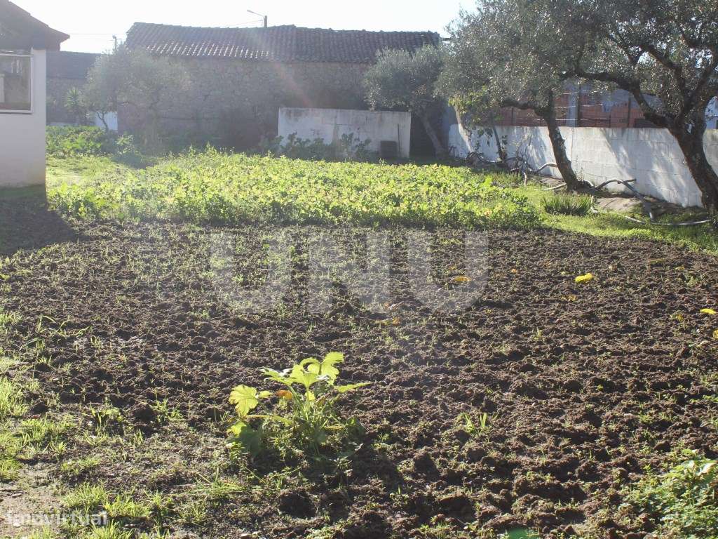 Quinta para venda em Oledo, Idanha-a-Nova, Portugal-11