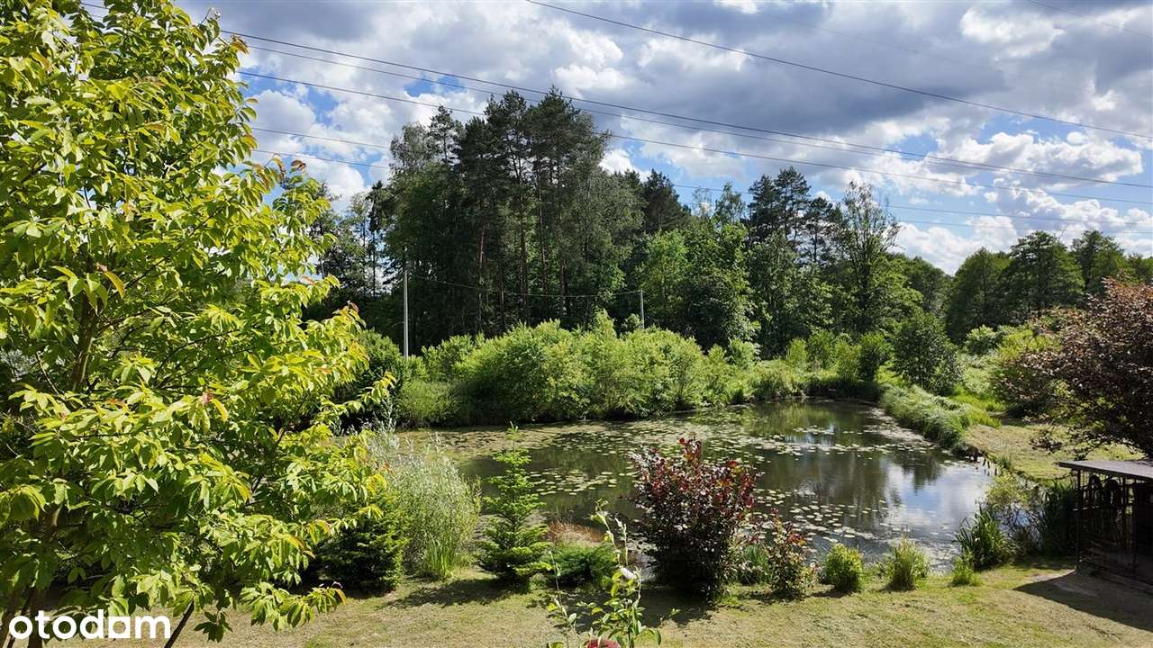 Posiadłość Przegędza - Staw, Las-15