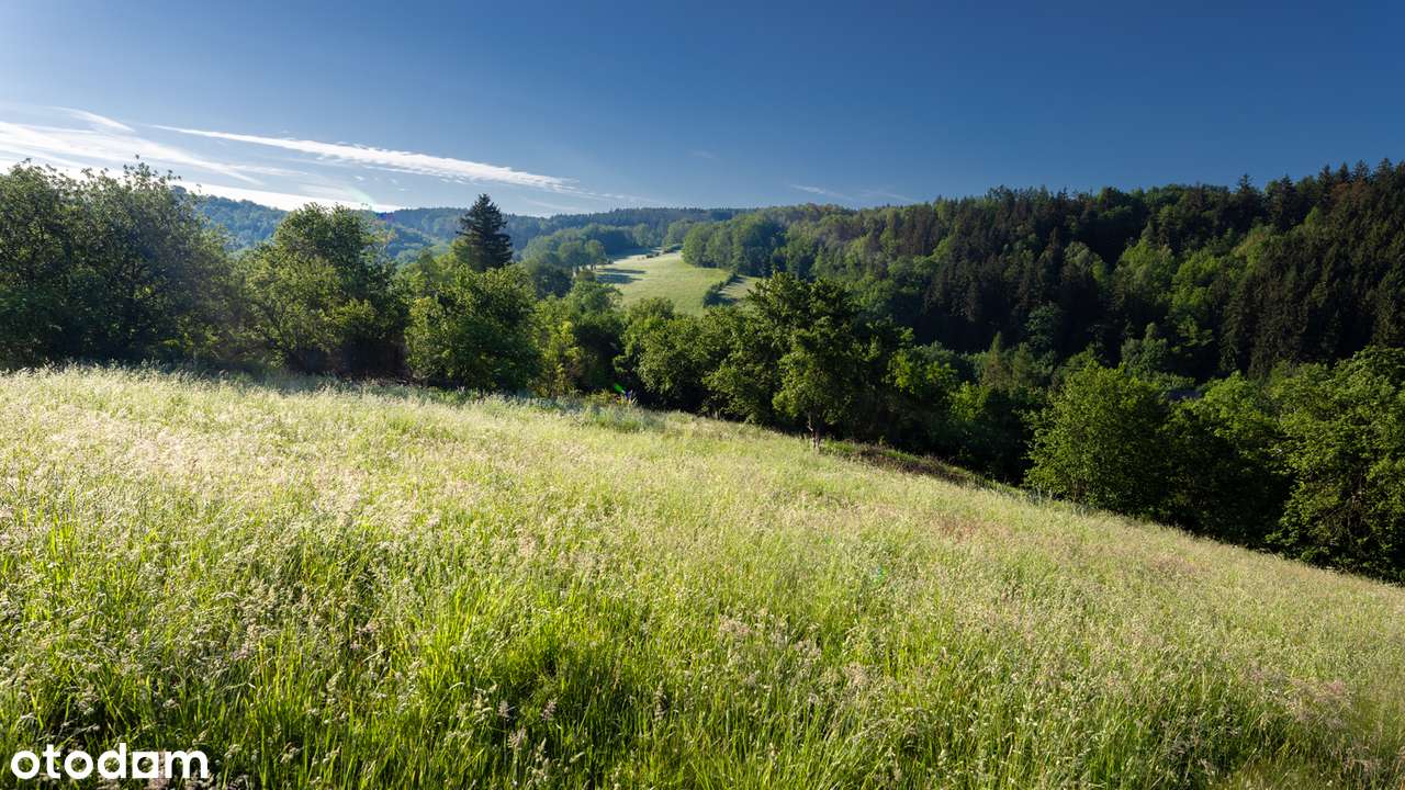 Bystrzyca - działka rolno-budowlana w Krainie Wygasłych Wulkanów - Pełny obrazek: 5/5
