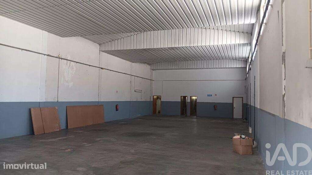 Hangar em Pedome de 300,00 m2 - Grande imagem: 3/18