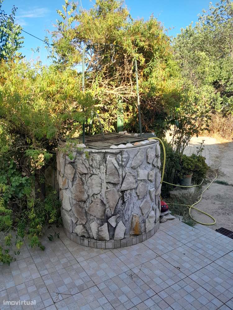 Moradia T3 C/ 10.000M2 Terreno C/ Furo-30