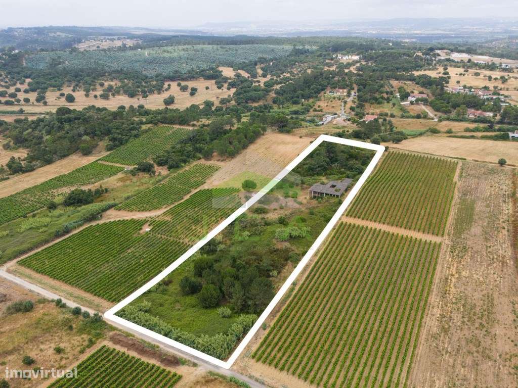 Terreno com 15.840m2 em Aveiras de Cima-4