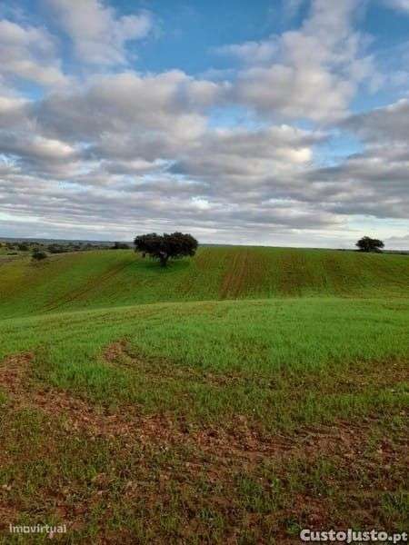 Monte Alentejano - Grande imagem: 5/9