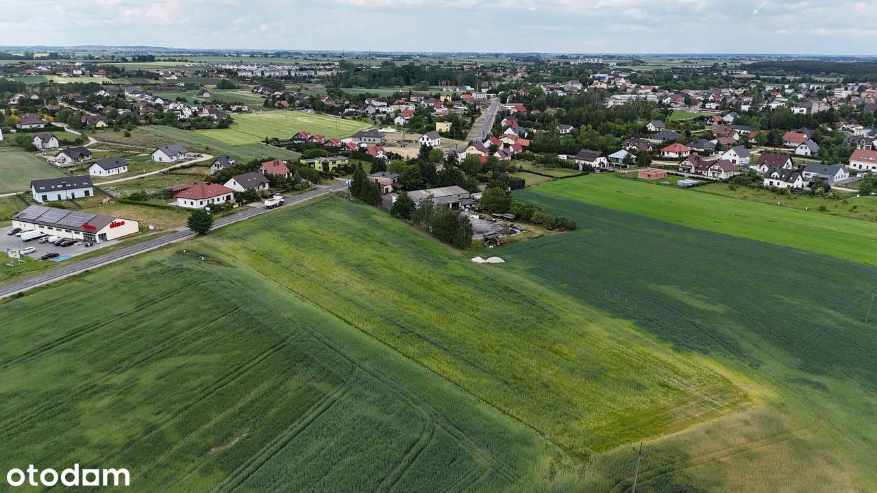 Działka inwestycyjna pod Poznaniem Kaźmierz - Pełny obrazek: 4/5