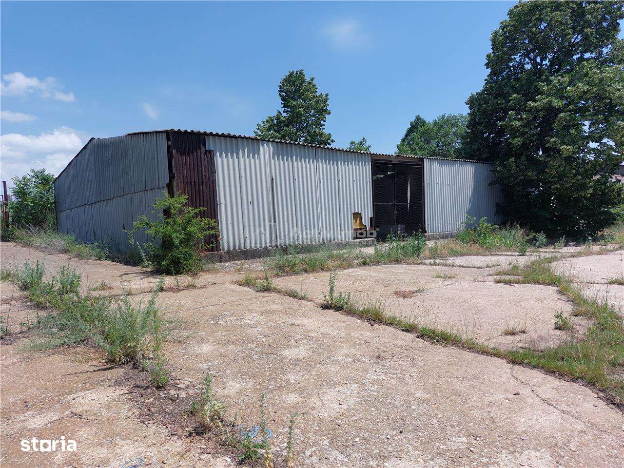 Teren intravilan 1,59 Ha+constructii industriale si edilitare Vin-Alco - Imagine principală: 2/10