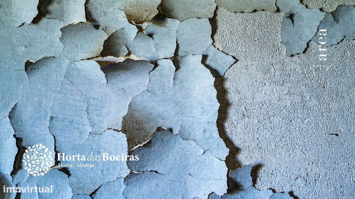 Imóvel Exclusivo | Hortas das Boeiras-25