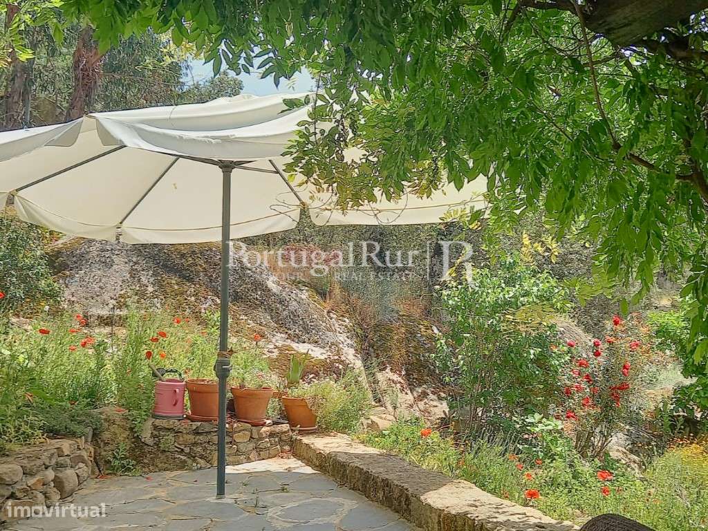 Quinta Rural 8.000 m2 - 2 Casas Habitáveis - confina com Ribeira-19