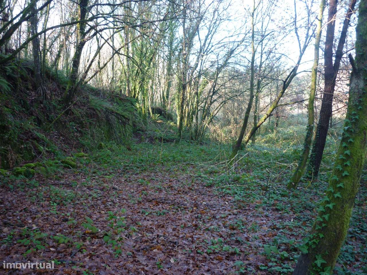 Terreno Junto a Nascente do Rio Ave!!!-3