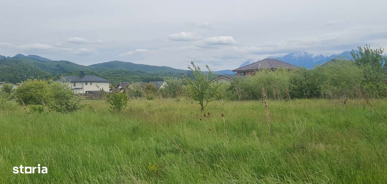 SC VIMAK IMOBILIARE vinde teren intravilan de 1000 mp în Cristian-5