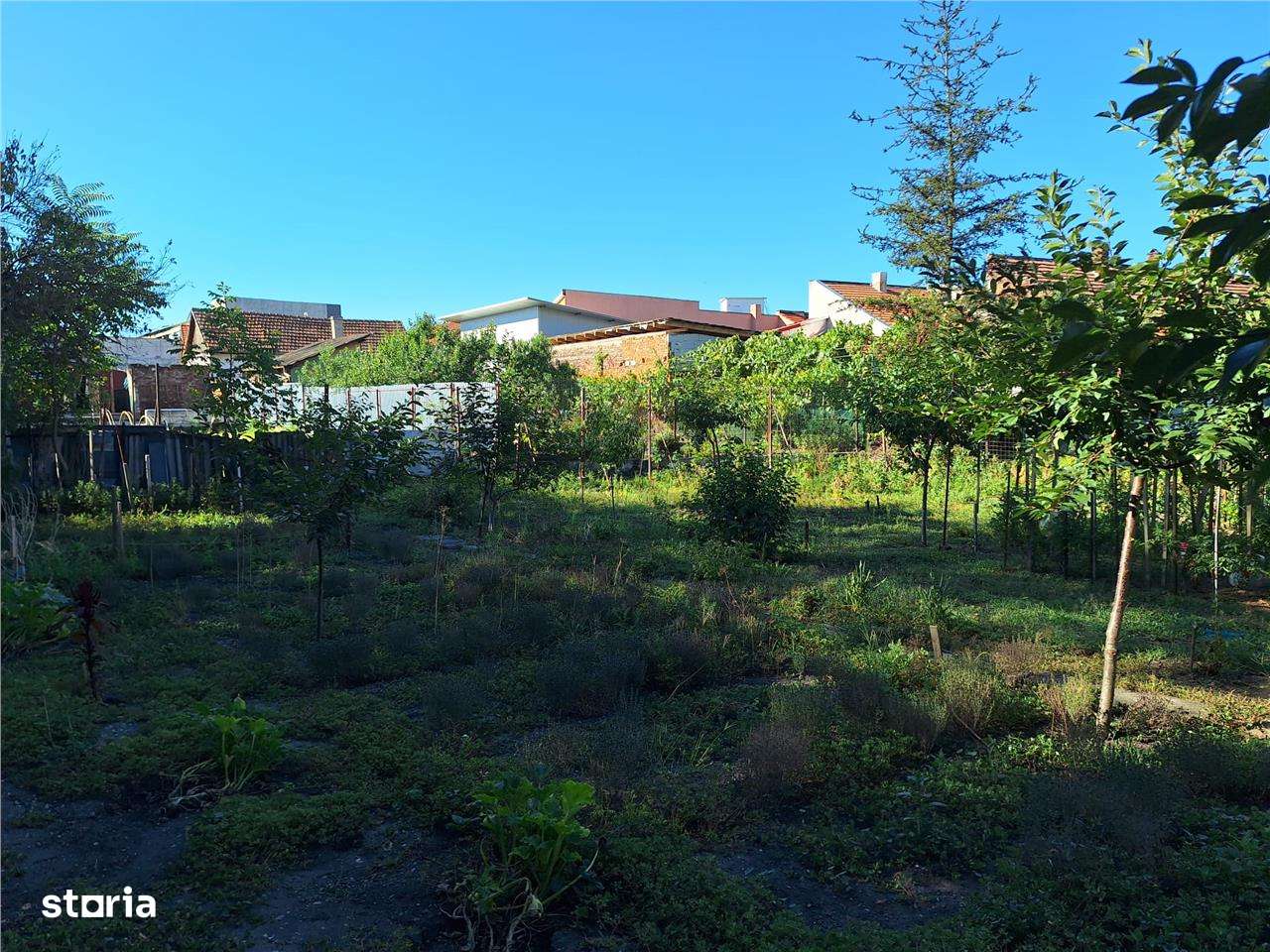 Reco, Casa Oradea Central - Imagine principală: 5/8