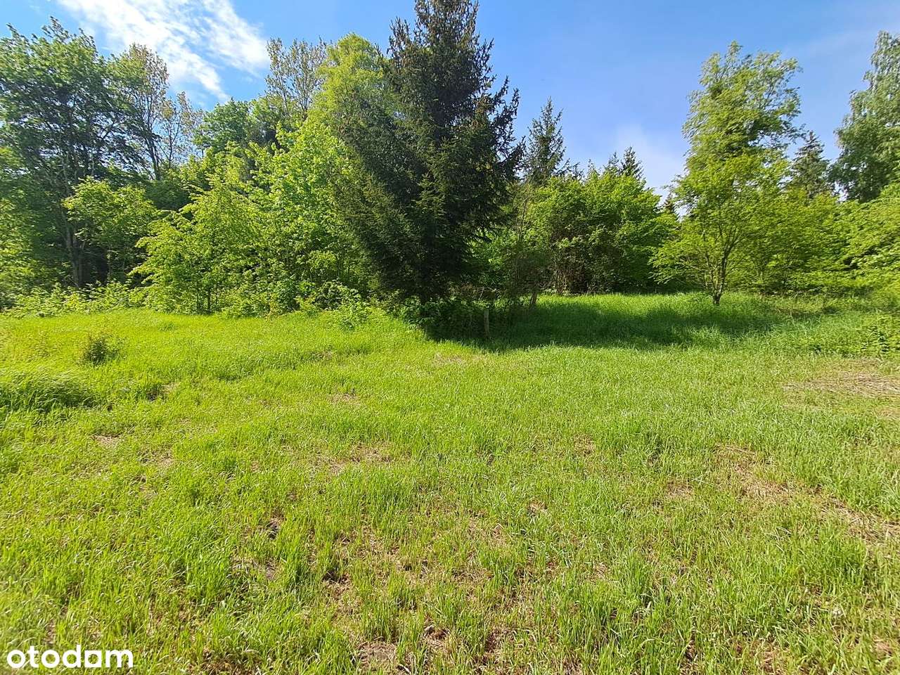 Cierzpięty, dz. 59/10, gm. Orzysz-5