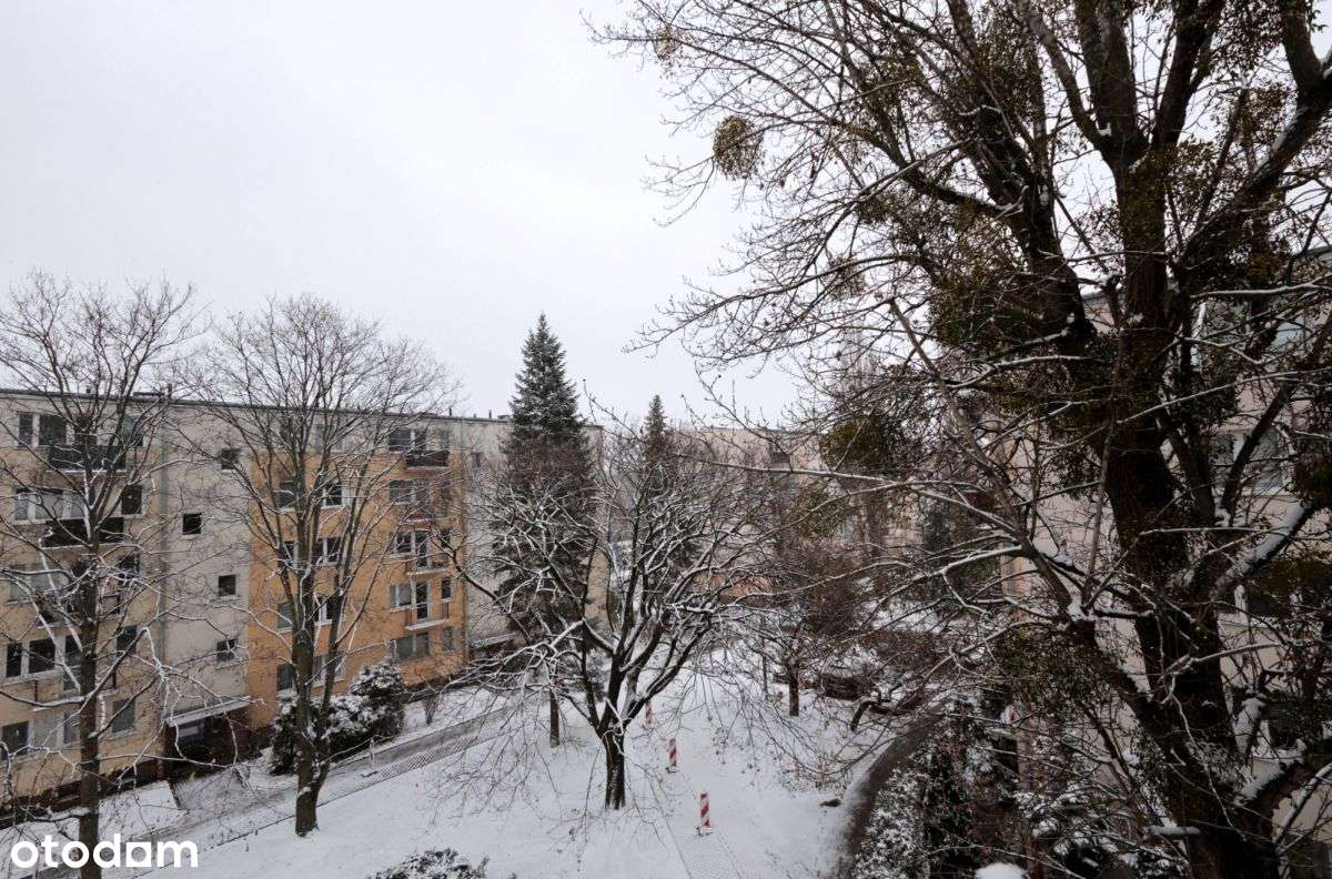 2 pokoje 38m2 ul.Żwirki i Wigury- 2 linia zabudowy-13