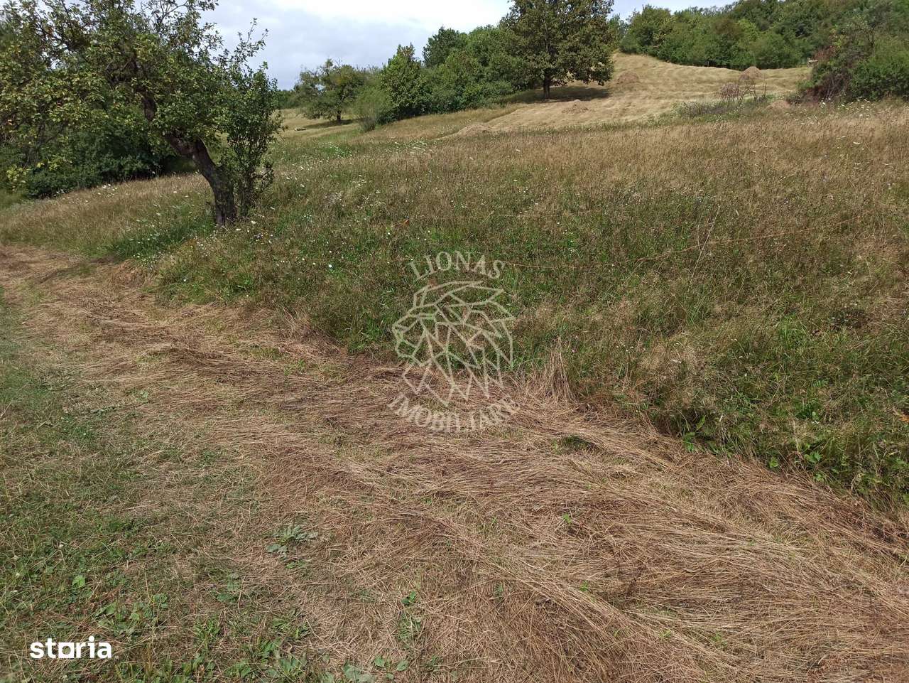 Teren 5200 mp-ideal cabane, case de vacante, agricultura-Livezile - Imagine principală: 3/3