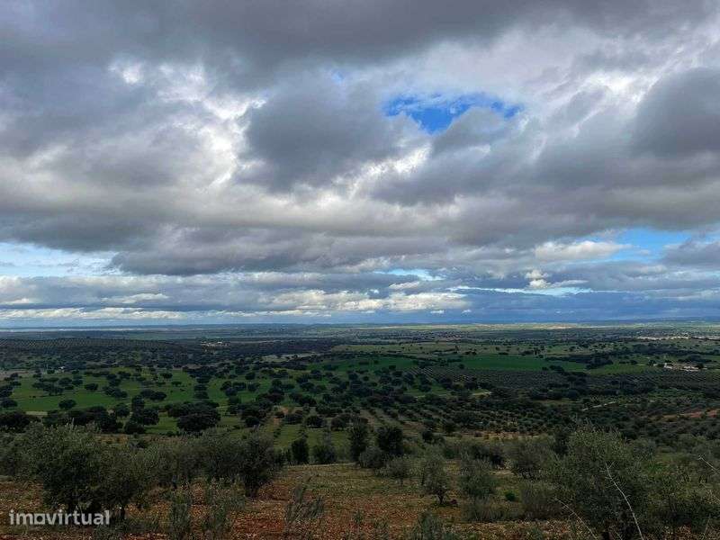 Terreno rústico 1 hectare, Sobral da Adiça, Moura. - Grande imagem: 2/8