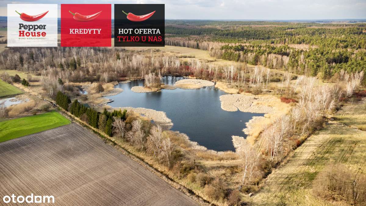 duża działka z własnym stawem i domkiem - Pełny obrazek: 5/20