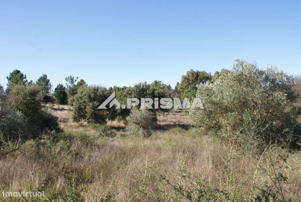 Oportunidade Única às Portas de Castelo Branco!-27