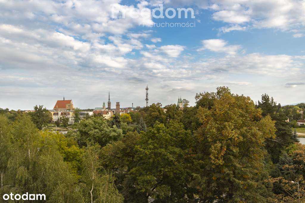 Mieszkanie z widokiem na panoramę miasta i góry - Pełny obrazek: 4/13