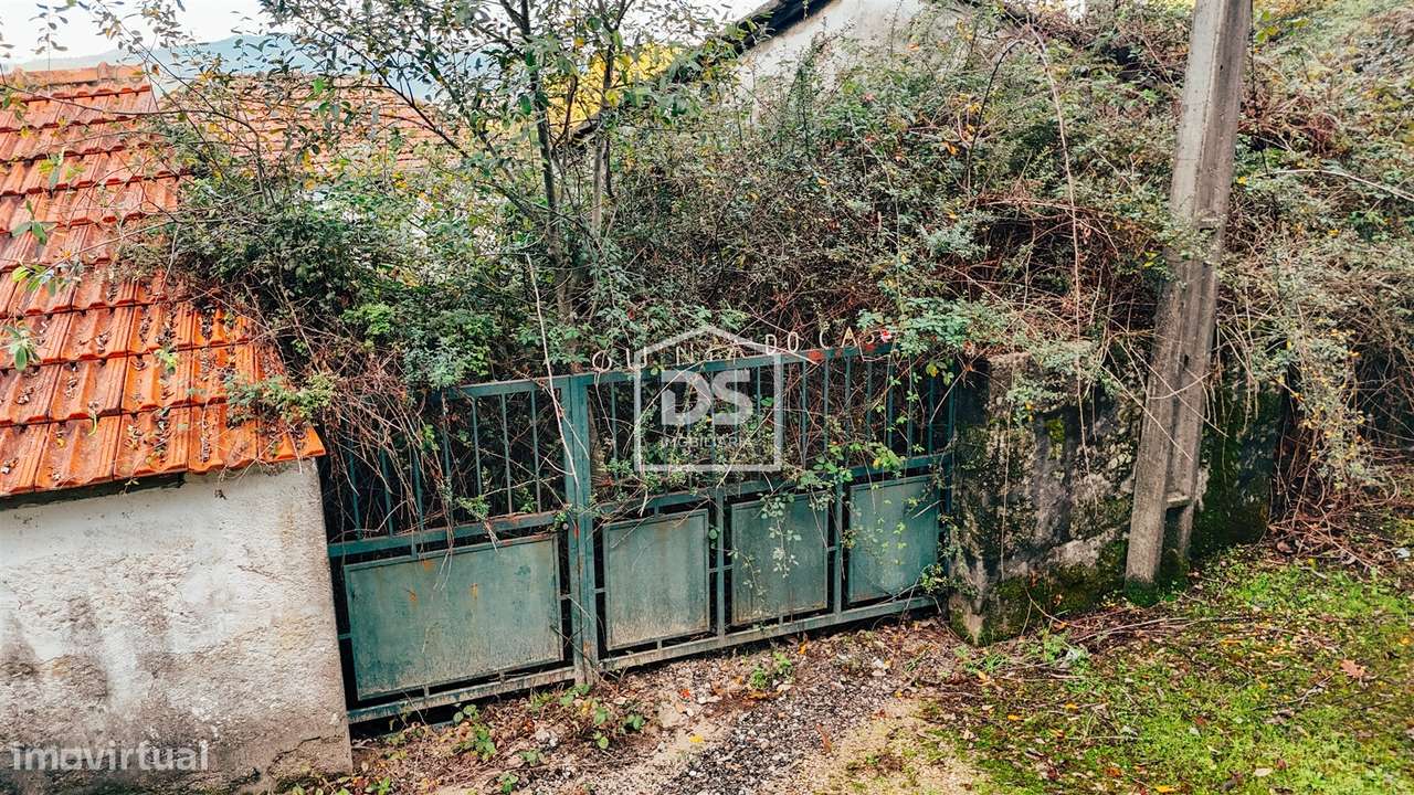 Quinta T2, Porto, Lousada, Figueiras e Covas - Grande imagem: 5/5