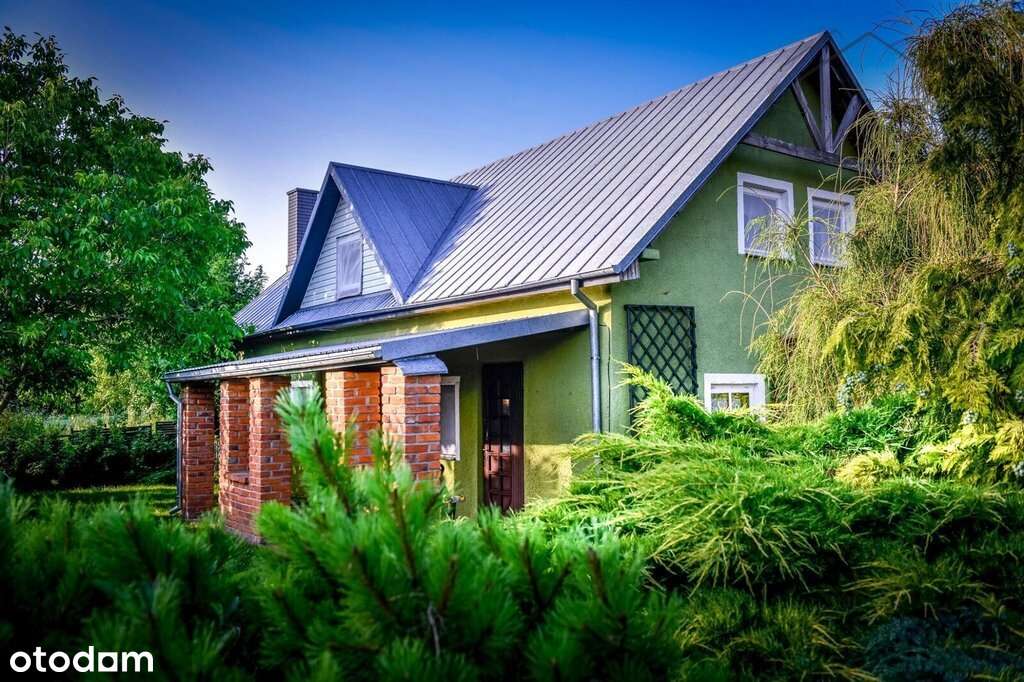 Dom nad jeziorem na Mazurach, linia brzegowa - Pełny obrazek: 5/20