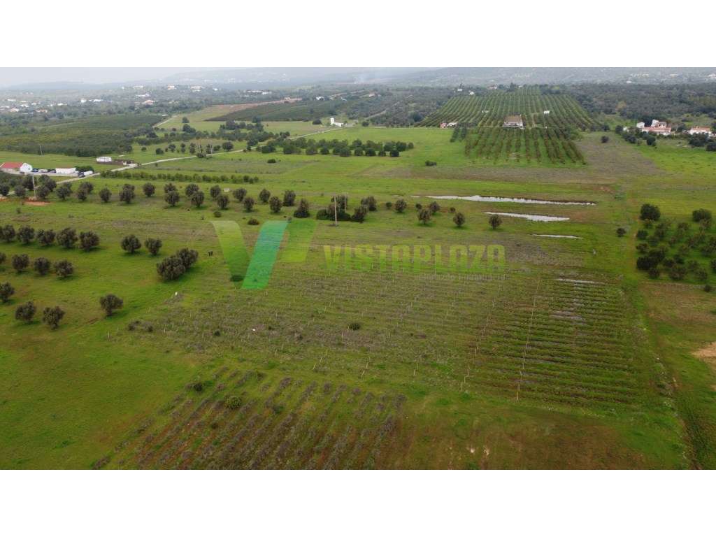 Lote de terreno rústico perto de Paderne, plano, vedado e com vista...-20