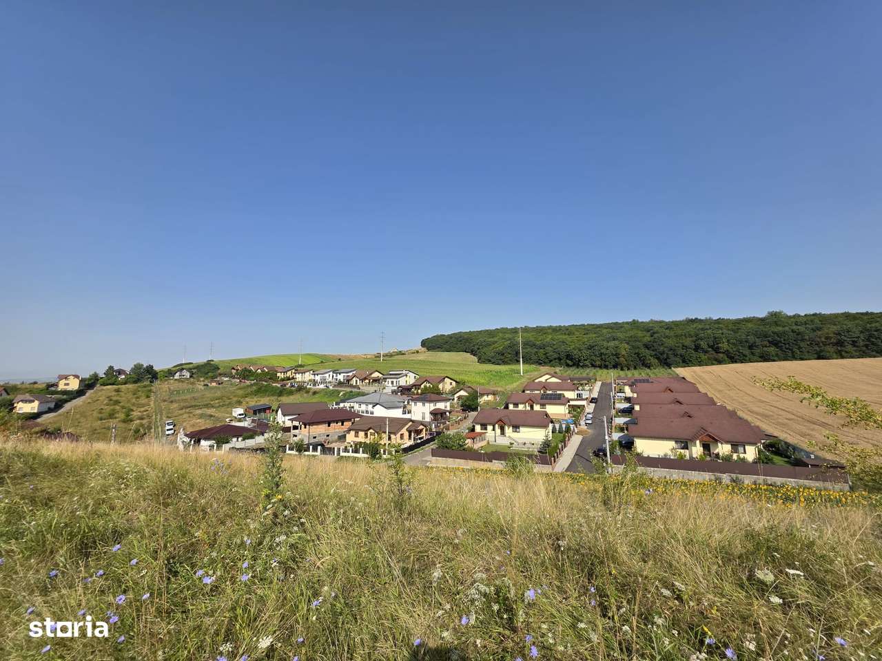 Teren in Sancraiul de Mures, 5800 mp, utilitati la 50 m, padure - Imagine principală: 1/6