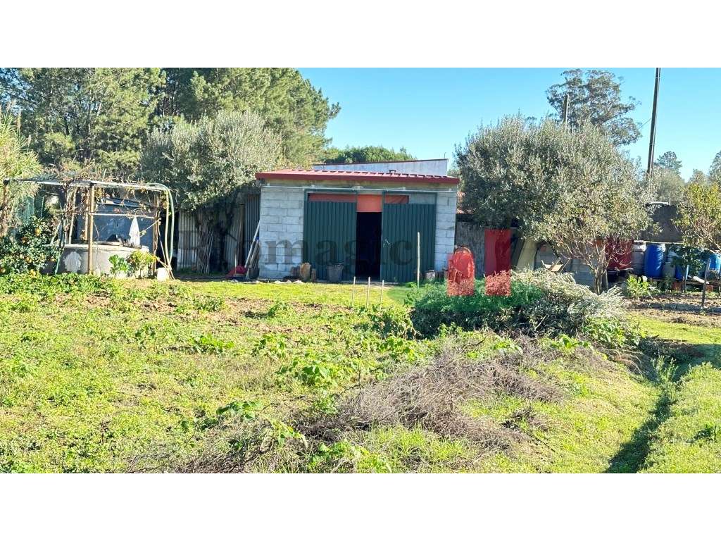 Terreno - Rio Maior - Grande imagem: 5/31