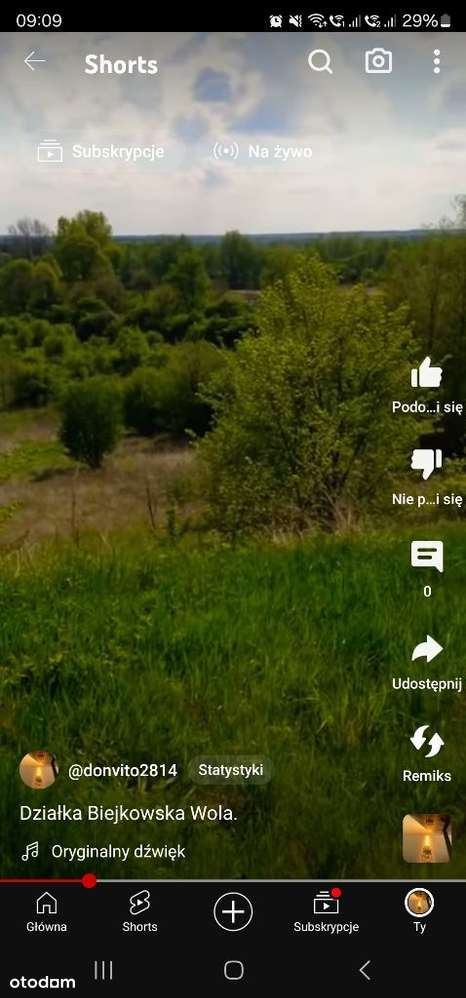 Dziłaka w Pilickim Parku krajobrazowym do zabudowy - Pełny obrazek: 4/7