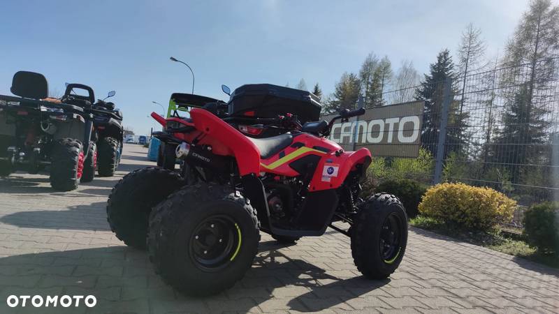 CFMoto CForce - 19