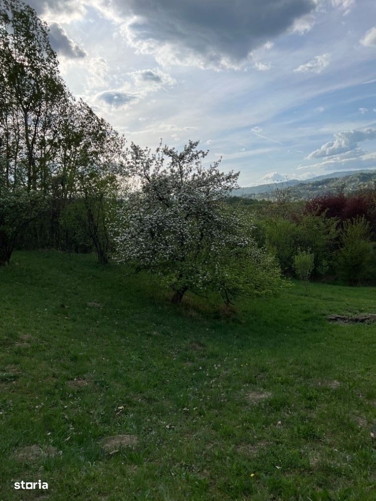Vand teren intravilan - Breaza Valea Tarsei strada Tudosesti 4300 mp